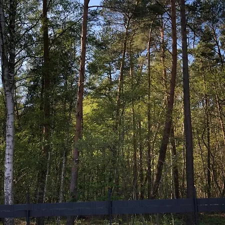 Lawendowe Domki 70m Międzywodzie Zewnętrze zdjęcie