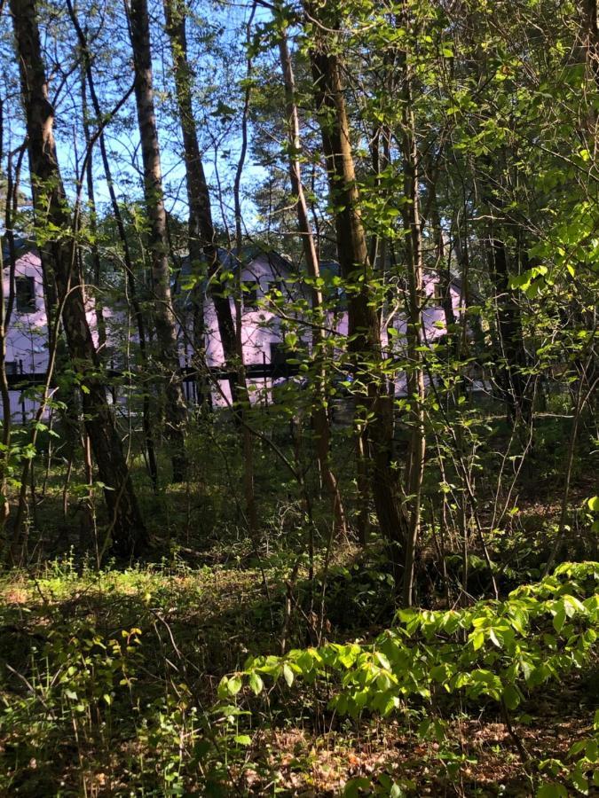 Holiday home Lawendowe 70m Miedzywodzie